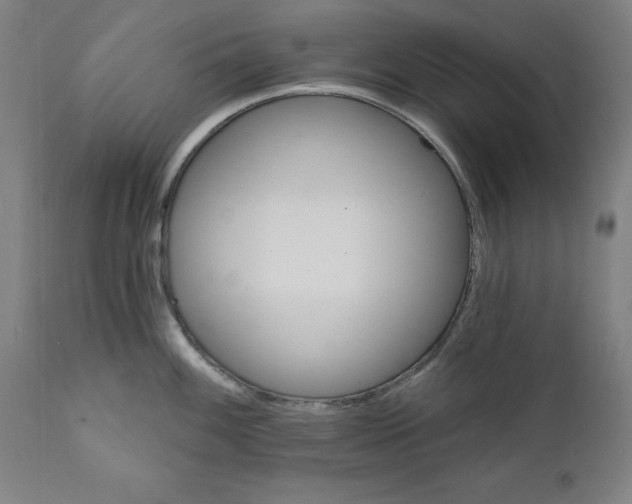 X0000111581100200908271029