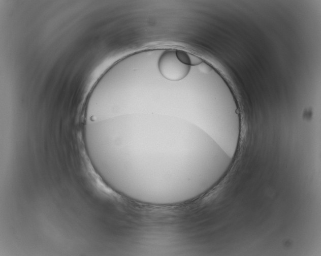 X0000111581102200908271029