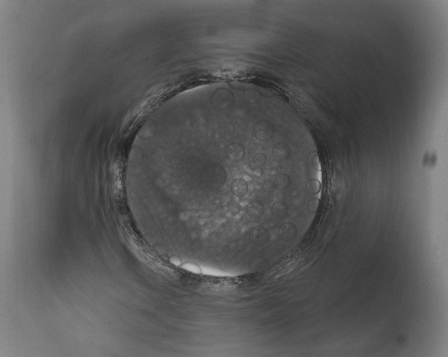 X0000111581106200908271029