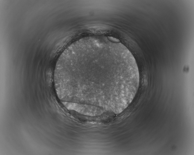 X0000111581108200908271029