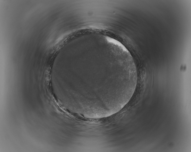 X0000111581110200908271029