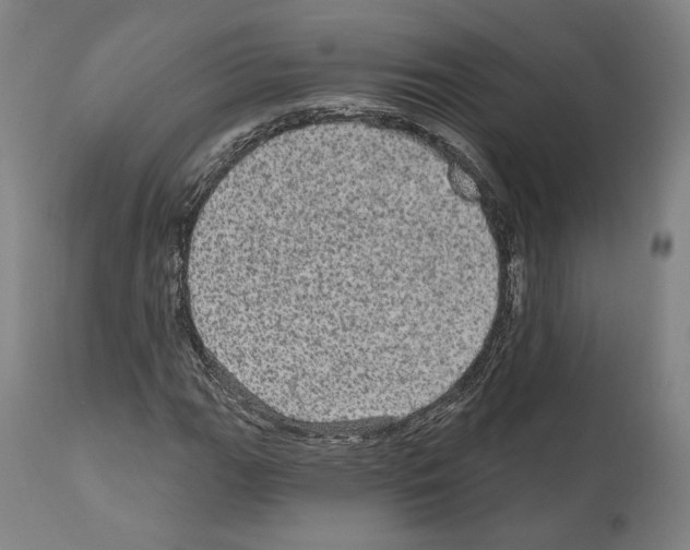 X0000111581111200908271029