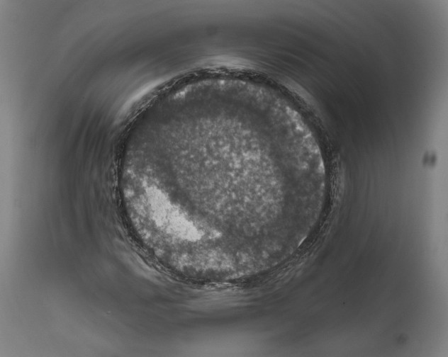 X0000111581112200908271029