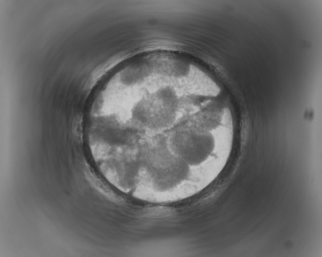 X0000111581113200908271029