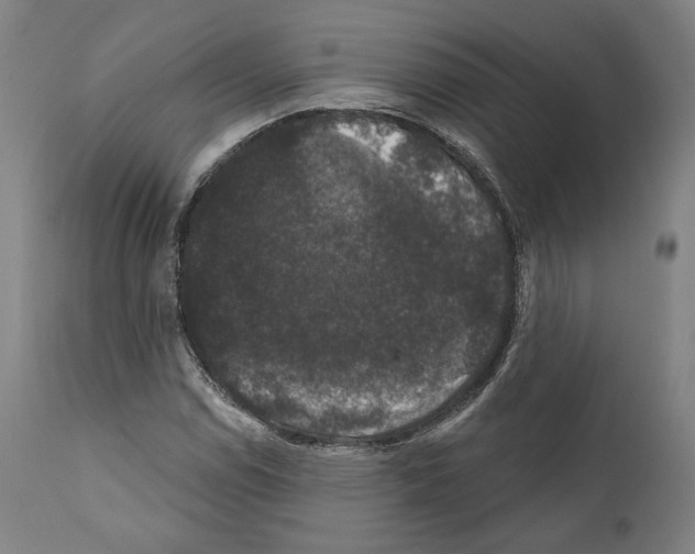 X0000111581114200908271029