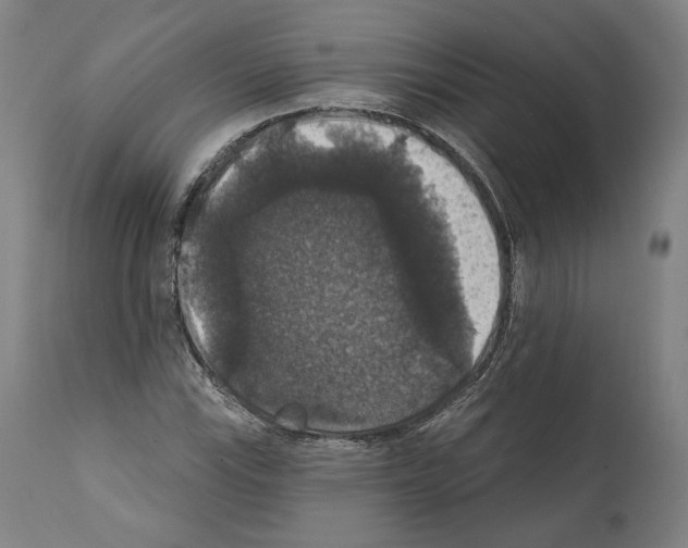 X0000111581115200908271029