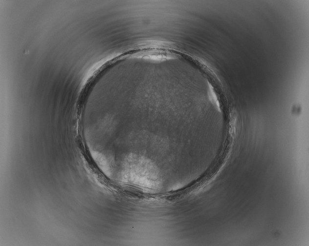 X0000111581117200908271029