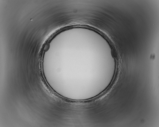 X0000111581118200908271029