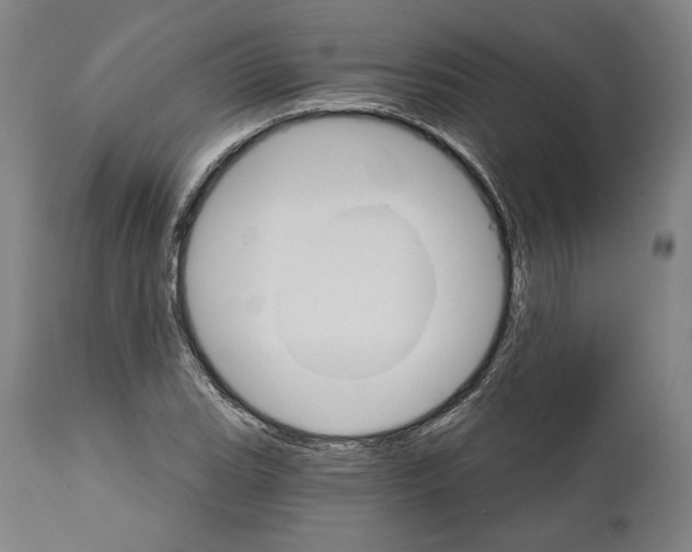 X0000111581119200908271029