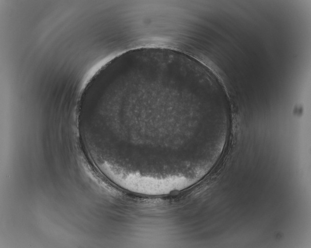 X0000111581120200908271029