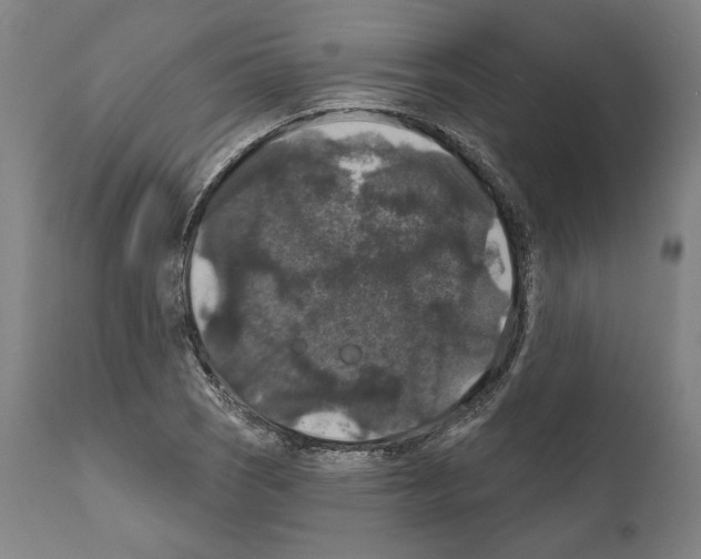 X0000111581121200908271029