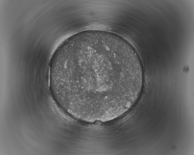 X0000111581123200908271029