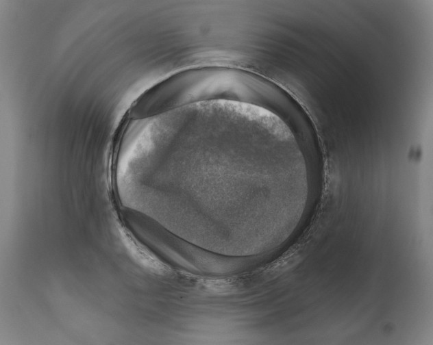 X0000111581128200908271029