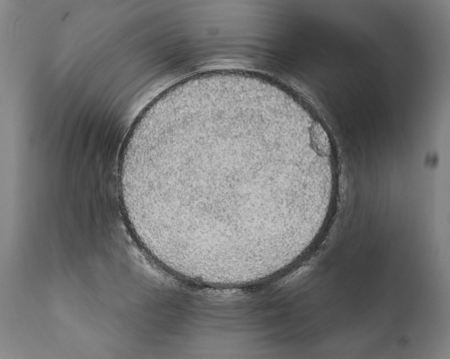 X0000111581129200908271029