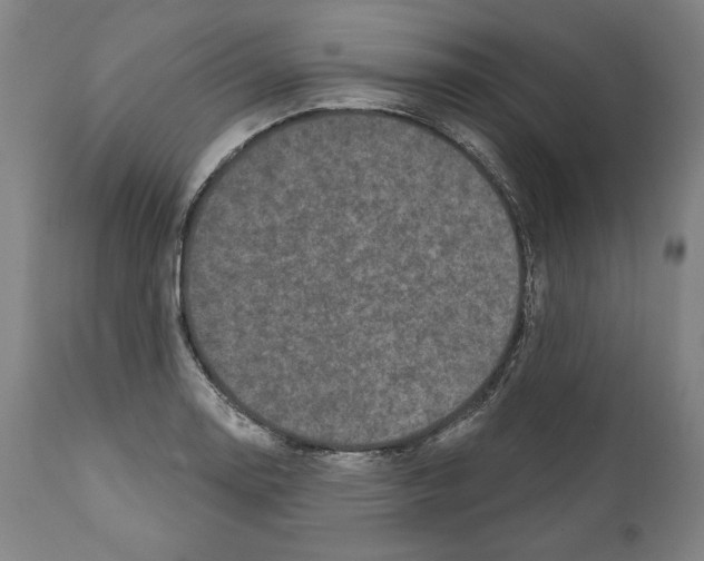 X0000111581130200908271029