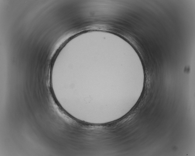 X0000111581131200908271029