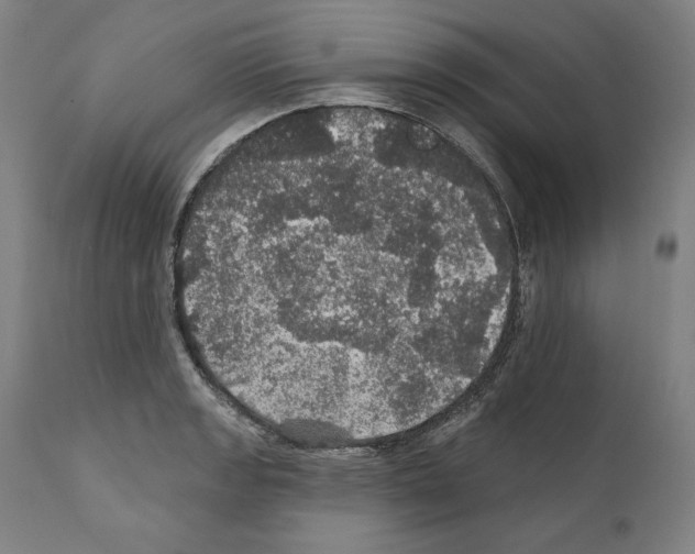 X0000111581133200908271029