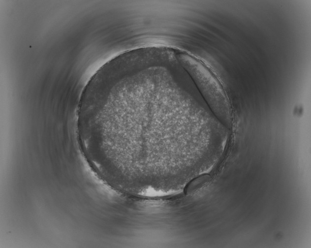 X0000111581134200908271029