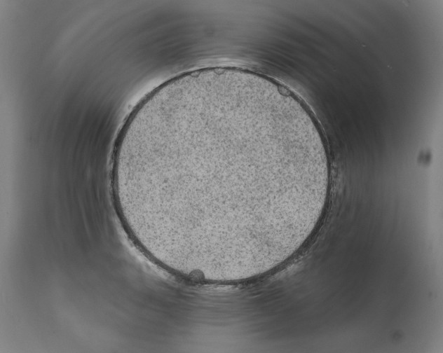 X0000111581135200908271029