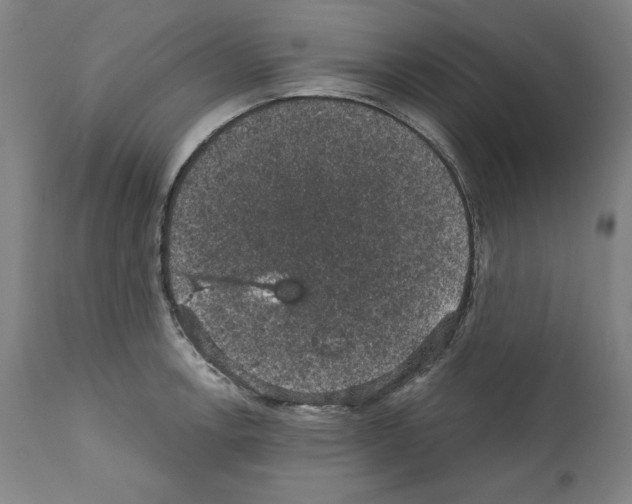 X0000111581138200908271029