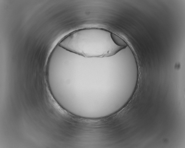 X0000111581140200908271029