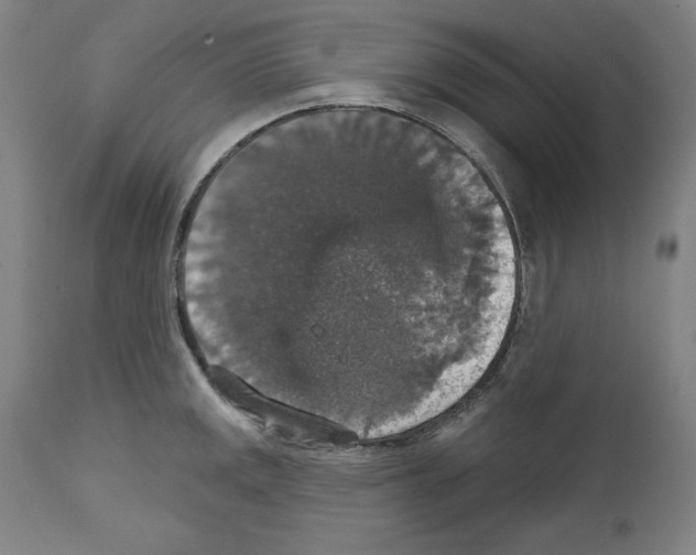 X0000111581141200908271029