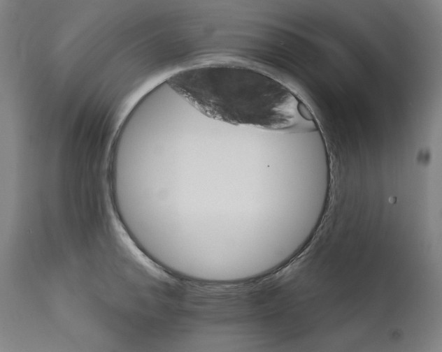 X0000111581142200908271029