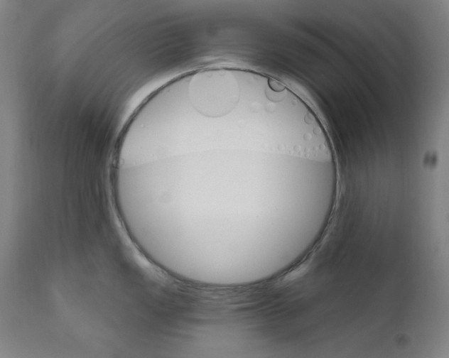 X0000111581149200908271029