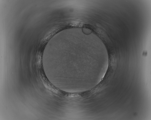 X0000111581154200908271029