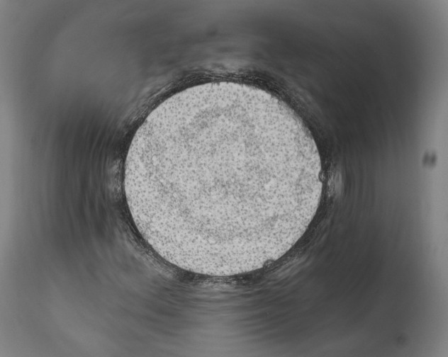 X0000111581156200908271029