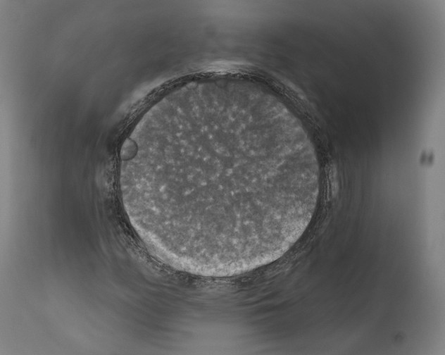 X0000111581158200908271028