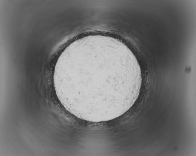 X0000111581159200908271028