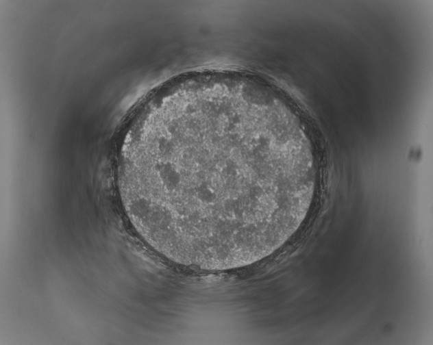 X0000111581160200908271028