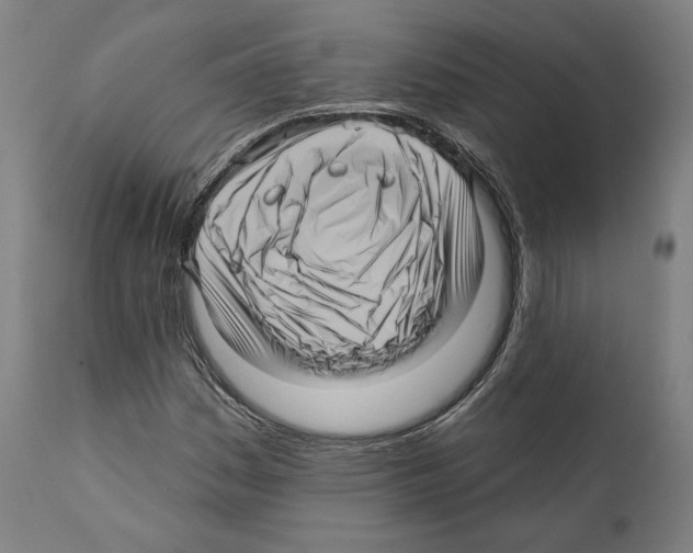 X0000111581161200908271028