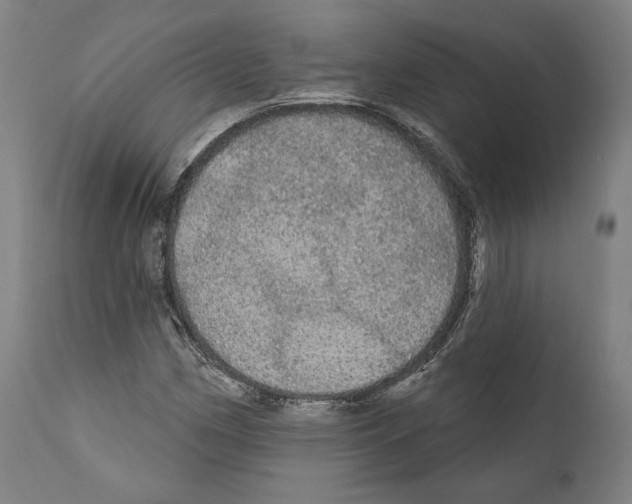 X0000111581162200908271028