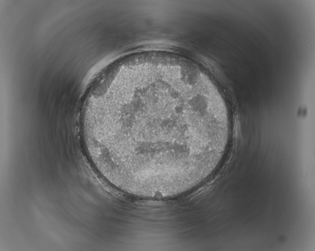 X0000111581164200908271028