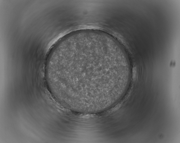 X0000111581165200908271028