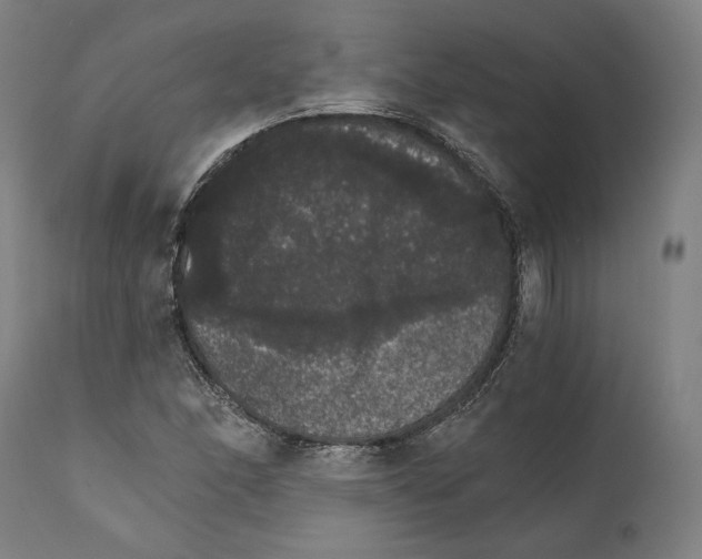 X0000111581166200908271028