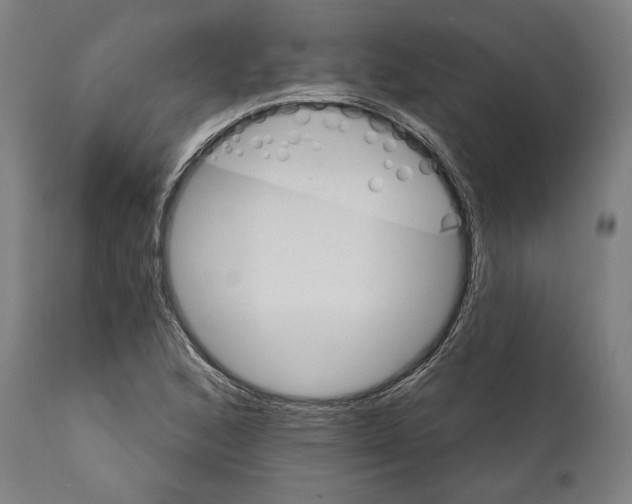 X0000111581168200908271028