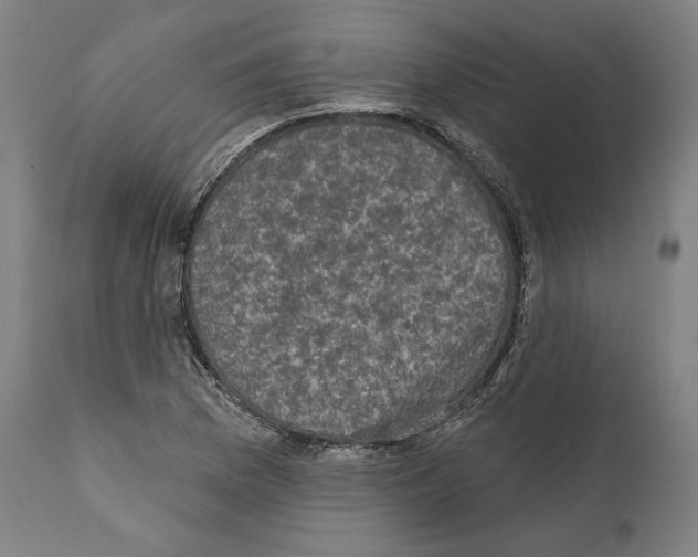 X0000111581169200908271028