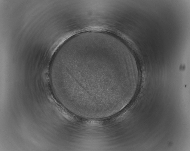 X0000111581170200908271028