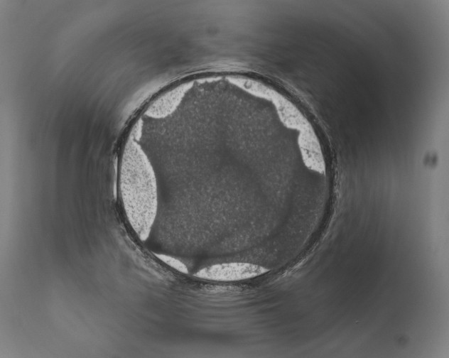 X0000111581171200908271028