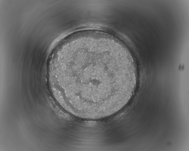 X0000111581172200908271028