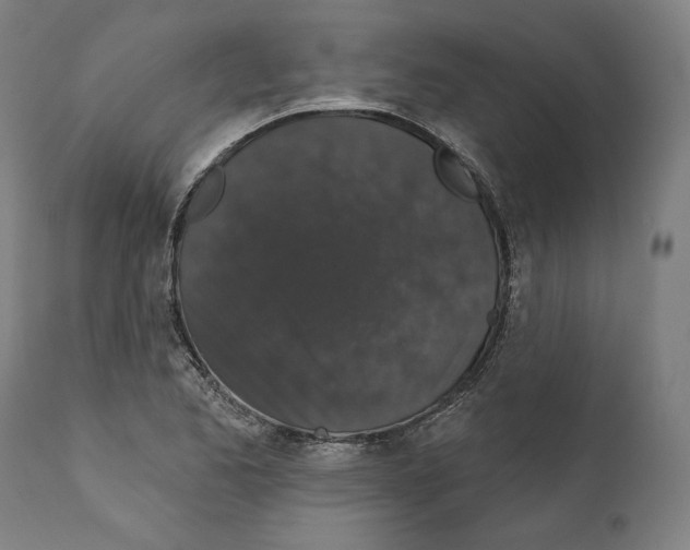 X0000111581173200908271028