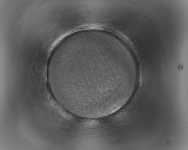 X0000111581174200908271028