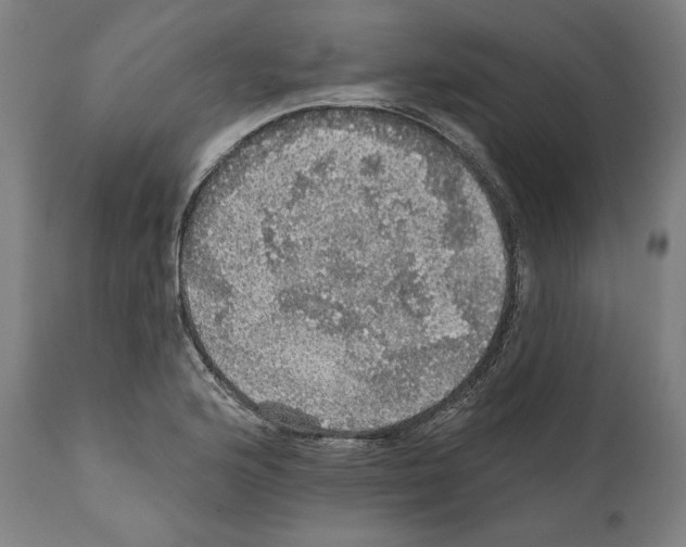 X0000111581176200908271028