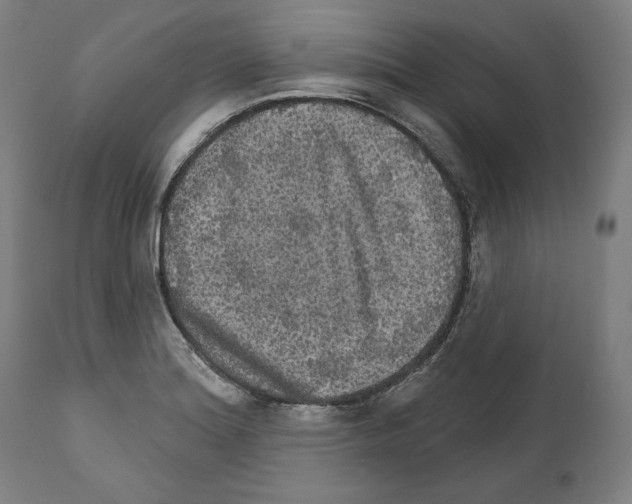 X0000111581180200908271028