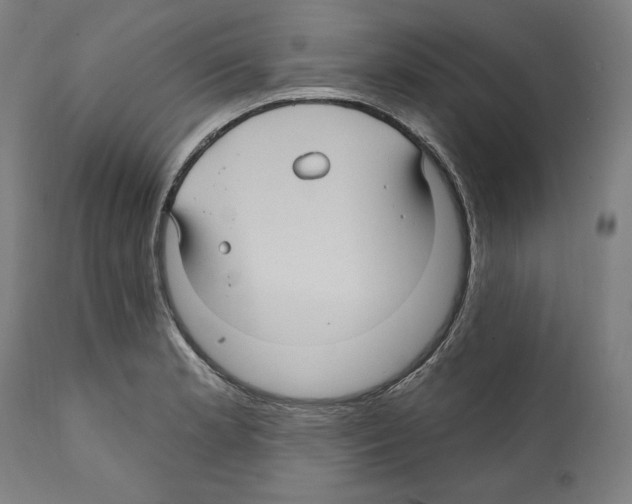 X0000111581181200908271028