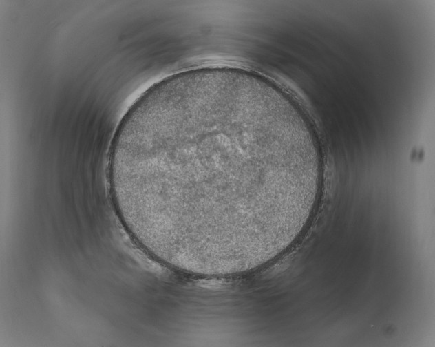 X0000111581182200908271028