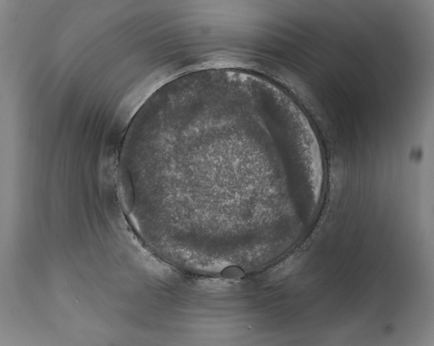 X0000111581185200908271028